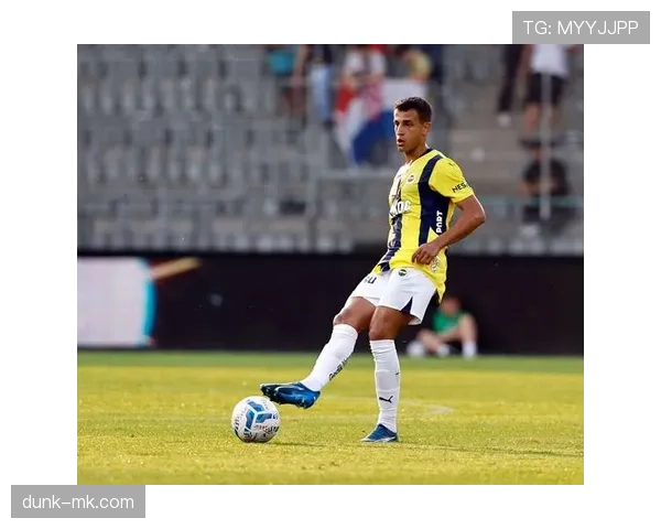 利桑德罗·马丁内斯硬汉防守助球队防线稳如磐石